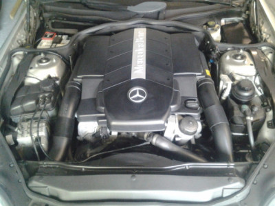 26877c5cf972073agen.jpg