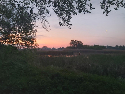 20230514_043848.jpg
